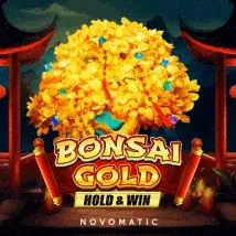 Bonsai Gold Hold & Win